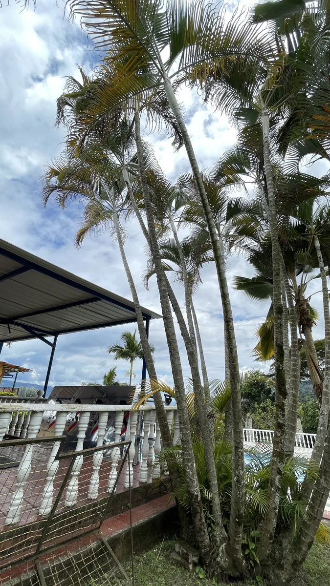 Instalaciones Sede La Mesa — Fotografía 13 de 20