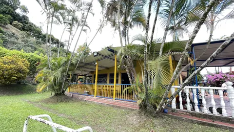 Miniatura 18